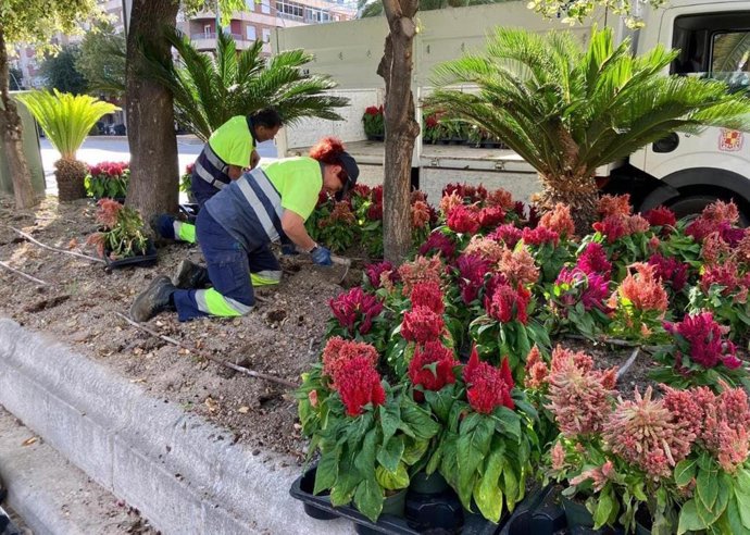 Archivo - Operarios de jardines