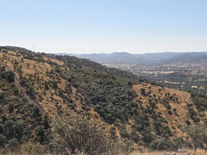 Vistas en Villanueva del Rey del resultado final de los trabajos de prevención de incendios forestales