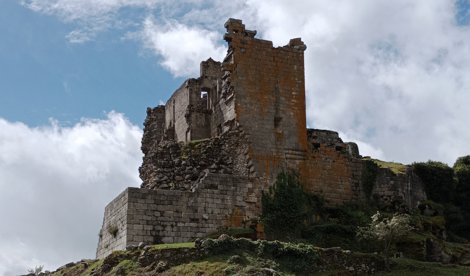 Comunicados Sociedad