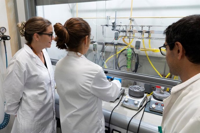 Equipe do Catalysis Group for Sustainable Organic Reactions do ITQ em seu laboratório.