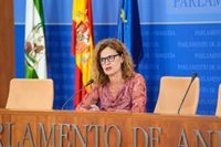 Por Andalucía pide a la justicia paralizar definitivamente la entrega del hijo menor de Juana Rivas al padre