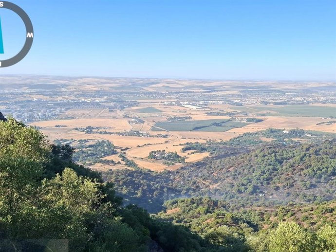 Zona afectada por el incendio forestal declarado en Córdoba.