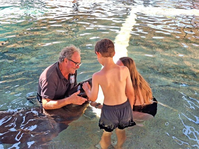 Leones marinos de Aqua Natura Benidorm participan en un programa terapéutico para jóvenes en riesgo de exclusión