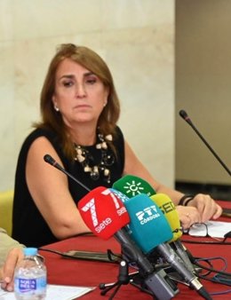La subdelegada del Gobierno central en Córdoba, Ana López Losilla, en una rueda de prensa.