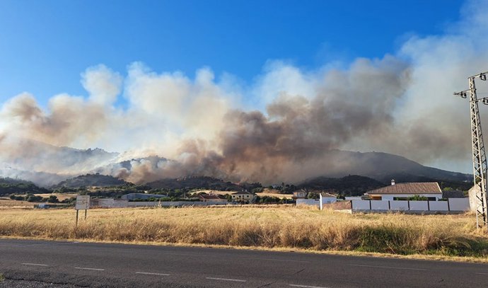 Incêndio florestal declarado no sopé da Serra de Córdoba