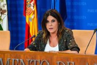PSOE-A pide que "se haga lo que se tenga que hacer" para que el hijo de Juana Rivas se quede con su madre
