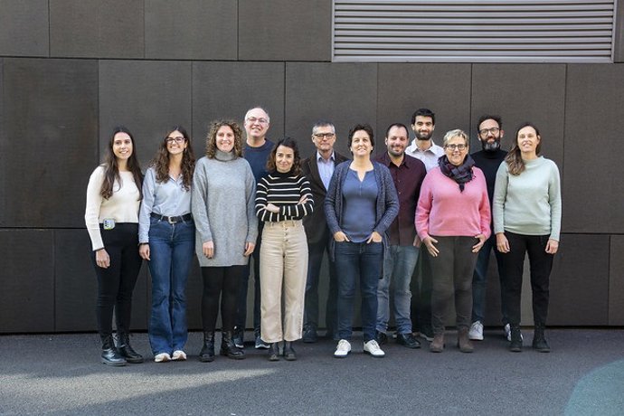 Identifican una estrategia "prometedora" para eliminar el colesterol de las células vasculares