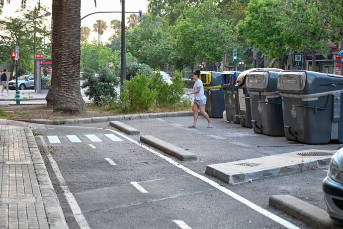 València inicia la senyalització de 415 passos per als vianants sobre carrils bici per a facilitar l'accés