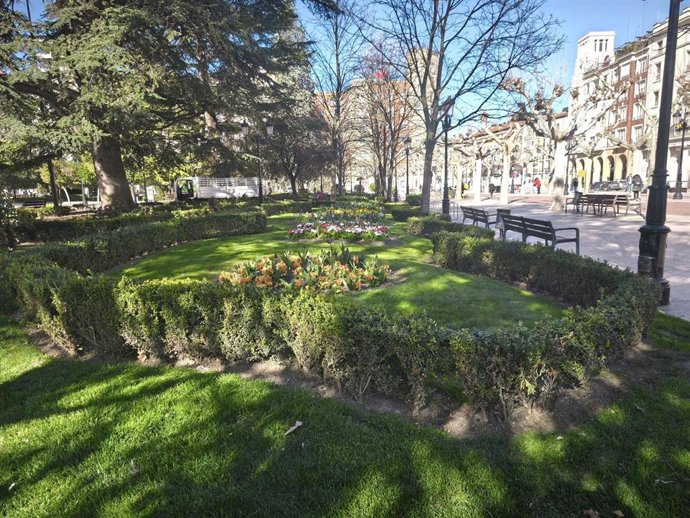 Archivo - Flores en El Espolón de Logroño