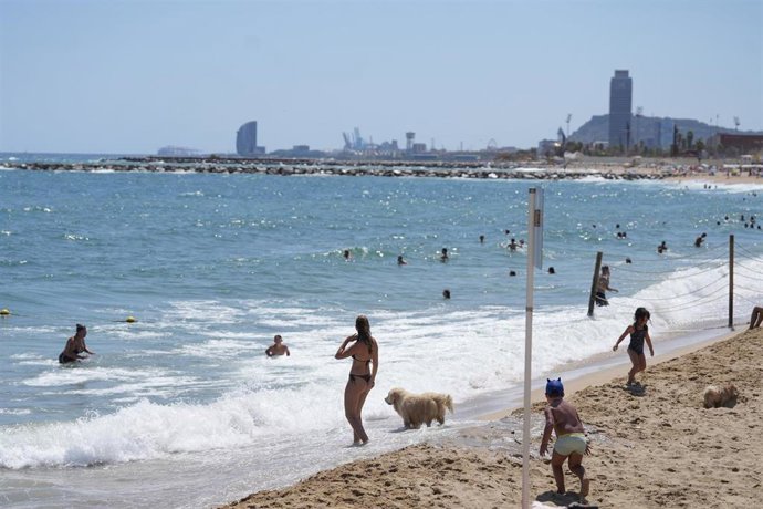 Varias personas con sus perros en el área de perros de la playa de Llevant, a 21 de julio de 2025, en Barcelona, Catalunya (España).  