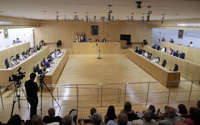 Pleno de la Diputación de Málaga