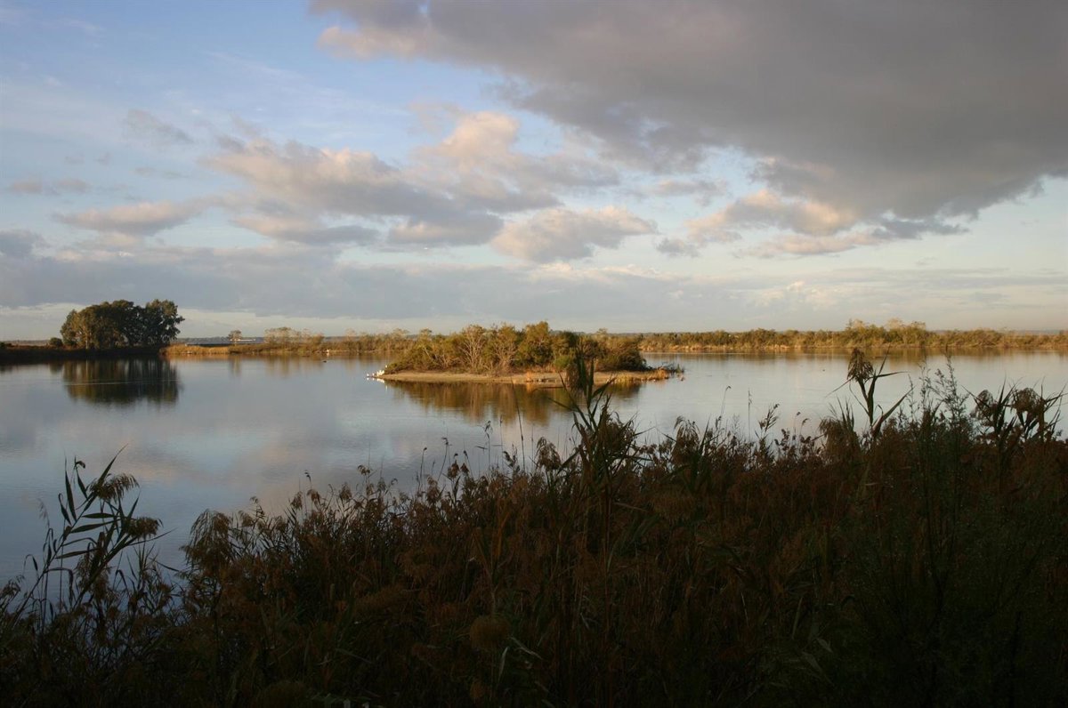 SEO/BirdLife dice que España  incumple sus compromisos con Ramsar  respecto a sus humedales de importancia internacional