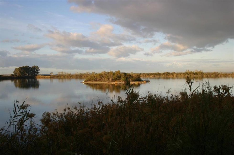 Humedales