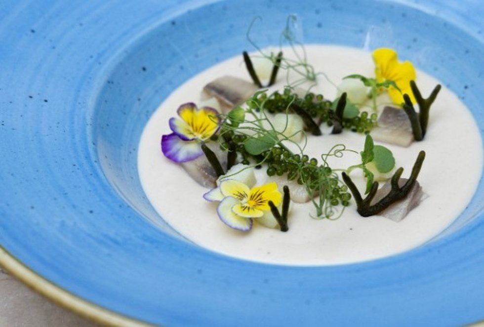 El Jardín del InterContinental Madrid abre su terraza de verano con una original propuesta gastronómica y de cócteles