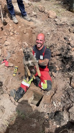 Los bomberos rescatan un perro atascado en una tubería de una carretera de Cantabria tras realizar varias catas