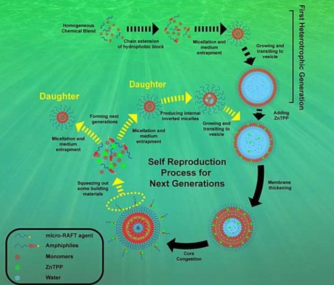 Diagrama esquemático que resume los distintos pasos y procesos asociados con el curso dinámico de nuestro sistema.