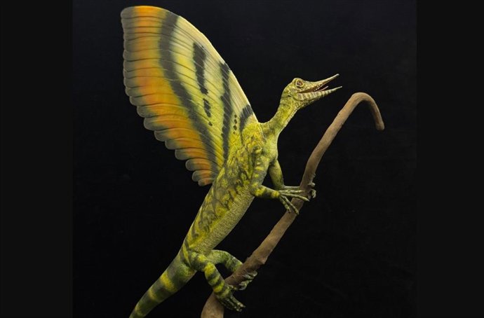 Modelo de Mirasaura grauvogeli