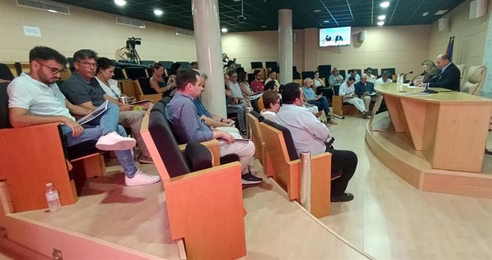 Pleno de la Mancomunidad Campiña Sur.