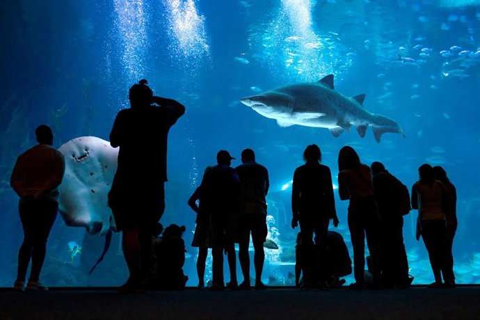 Poema del Mar (Gran Canaria), reconocido con el Tripadvisor Traveller's Choice Awards 2025 por cuarto año consecutivo