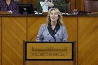 Junta no permitirá "que se afiance, por medios legislativos y de facto, una financiación singular" para Cataluña