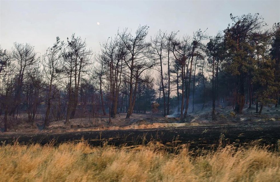 Archivo - Incendio en el este de Turquía (archivo)