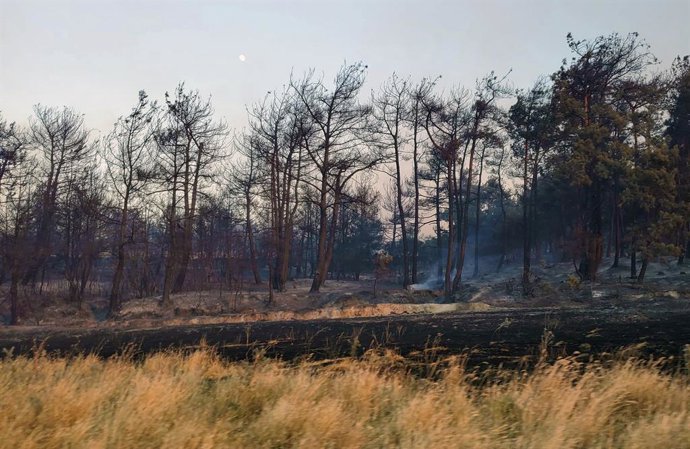 Archivo - CANAKKALE, 20 de junio de 2024 -- Foto tirada em 20 de junho de 2024 mostra o local onde ocorreu um incêndio florestal na província de Canakkale, Trkiye. Um incêndio florestal na província de Canakkale, no oeste de Trkiye, foi controlado, di