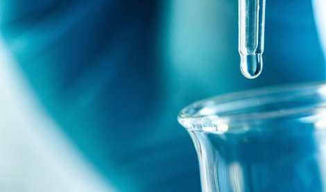 Investigación
