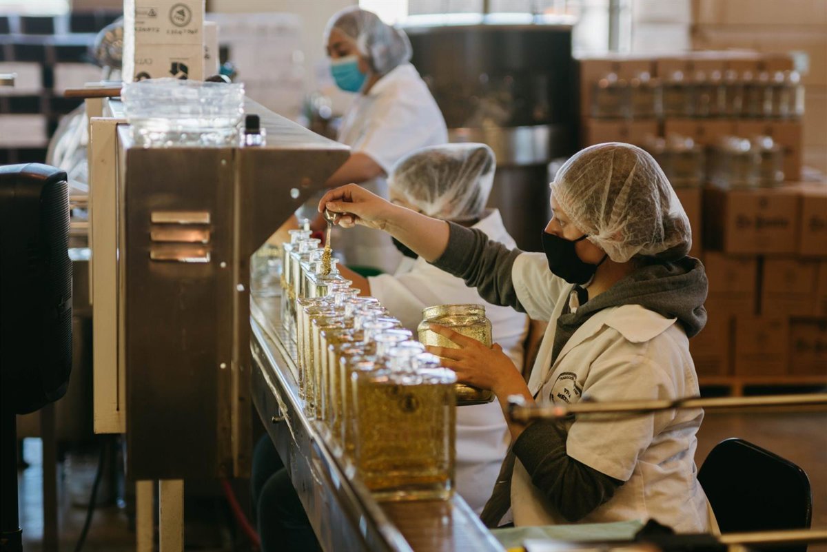 El paro baja en 2.600 personas en el segundo trimestre en Extremadura y se crean 21.500 empleos