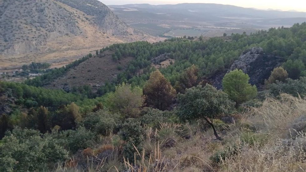 Imagen de archivo del incendio forestal declarado este pasado martes en Antequera, ya extinguido. 