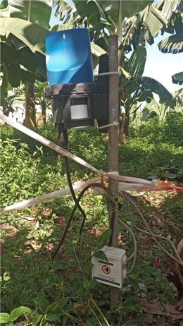 Inician un proyecto piloto para optimizar el riego en cultivos de plátano y aguacate de Tenerife con ayuda de la IA