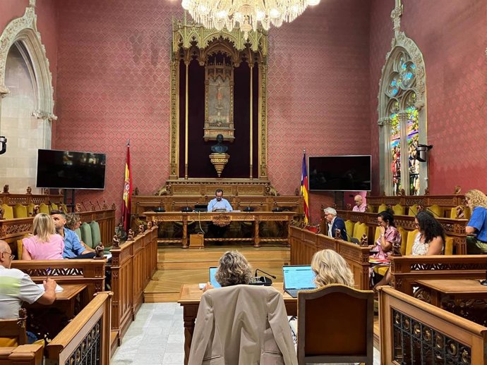 La comisión informativa del Consell de Mallorca celebrada este jueves.