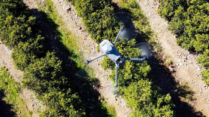 La plataforma Hidronut SAT, promovida por el ceiA3, ayuda a ahorrar hasta un 15% del agua de cultivo.