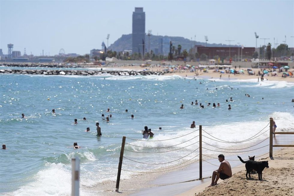 Varias personas con sus perros en el área de perros de la playa de Llevant, a 21 de julio de 2025, en Barcelona, Catalunya (España). 