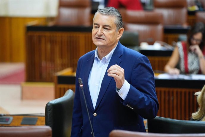 El consejero de la Presidencia, Interior, Diálogo Social y Simplificación Administrativa, Antonio Sanz, en el Pleno del Parlamento andaluz.