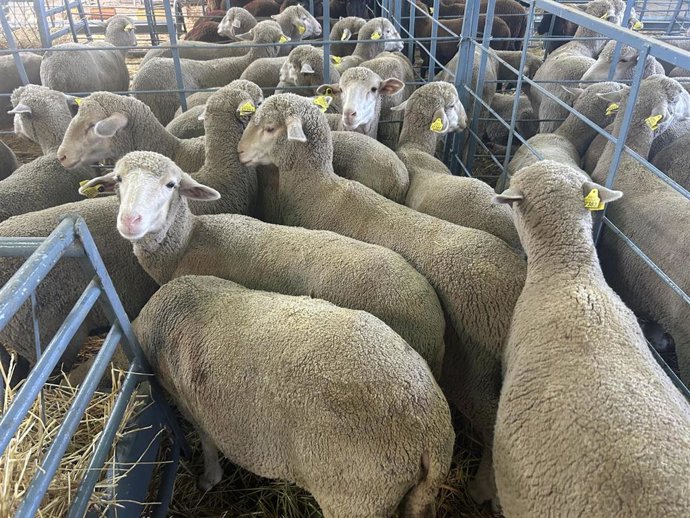 COAG llama a la vacunación