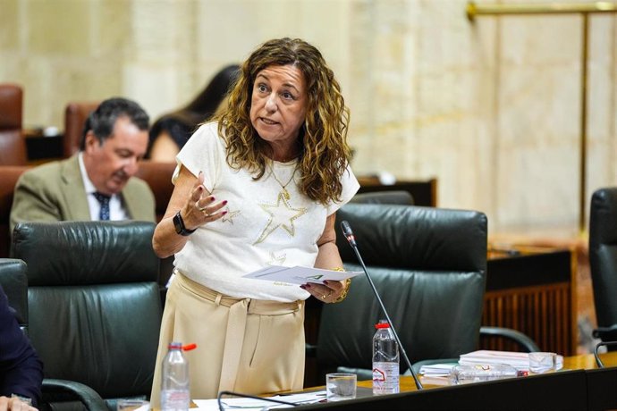María del Carmen Castillo, consejera de Desarrollo Educativo de Andalucía, en una sesión plenaria.