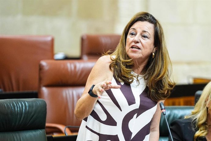 La consejera de Desarrollo Educativo y Formación Profesional, María del Carmen Castillo, en pleno parlamentario a fecha de 24 de julio de 2025.