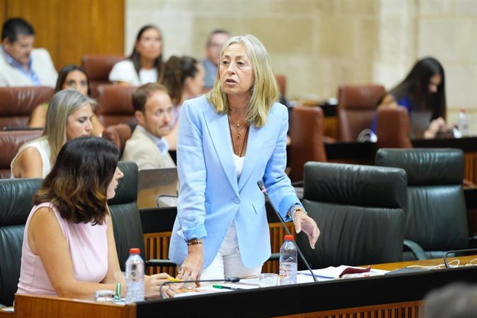 La consejera de Salud, Rocío Hernández, en la sesión plenaria del 24 de julio de 2025.