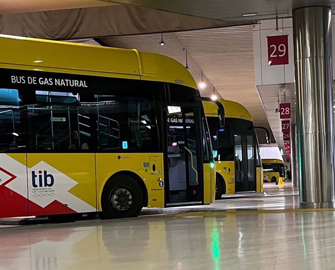 Archivo - Autobuses del TIB