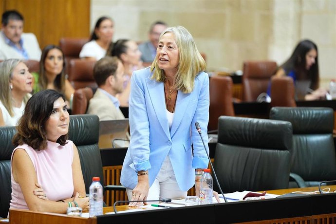 La consejera de Salud y Consumo, Rocío Hernández, en la sesión plenaria del 24 de julio de 2025.