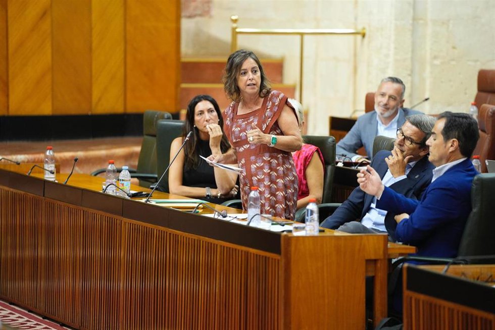 La consejera de Sostenibilidad y Medio Ambiente de la Junta, Catalina García, en el Parlamento de Andalucía, durante su intervención sobre la reunión con la FAC para el seguimiento del 'Pacto Andaluz por la Caza'.