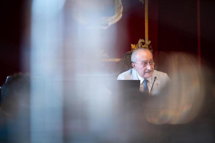 El alcalde de Málaga, Francisco de la Torre, durante un pleno