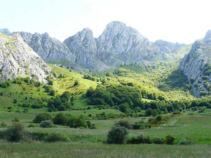 IBA del Valle de Anciles (León)
