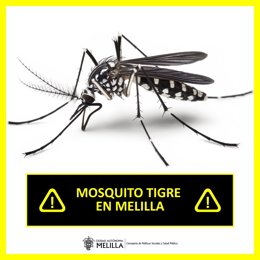 Cartel de aviso de Melilla ante la presencia del mosquito tigre (Aedes albopictus)