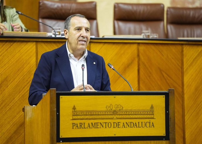 El diputado del PSOE-A José Luis Ruiz Espejo interviene en el Pleno del Parlamento andaluz.