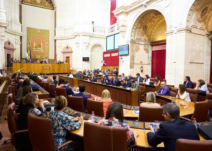 Archivo - Sesión del Pleno del Parlamento de Andalucía (Foto de archivo).