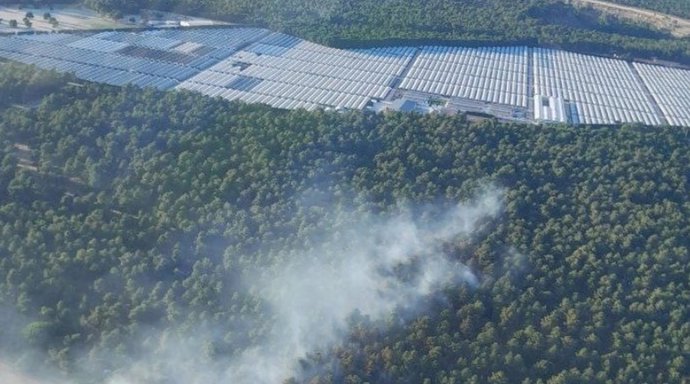 Movilizada una veintena de medios aéreos y terrestres para extinguir un incendio en Coca (Segovia)