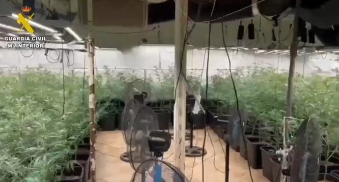 Vídeo de la noticia