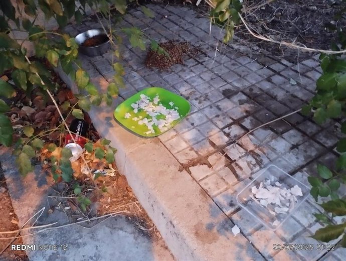 Imágenes de los restos de comida y basura en los alrededores de la 'escoleta' de Can Baix Sol.