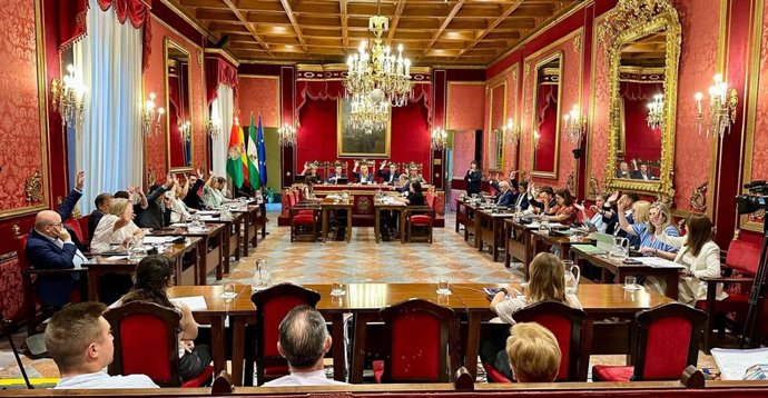 Pleno municipal de Granada este viernes